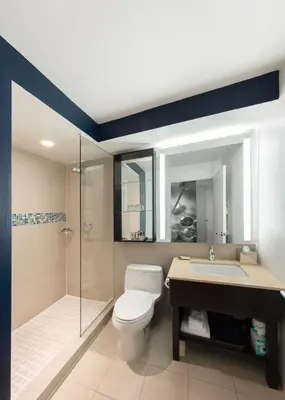 a bathroom with a toilet and a shower and a sink at Hotel Hayden New York in New York