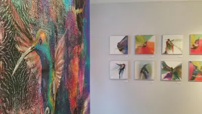 a group of pictures hanging on a wall at Carlton Arms Hotel in New York