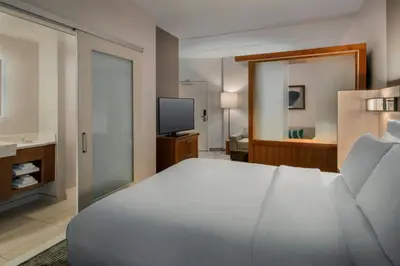 a bedroom with a large bed and a television at SpringHill Suites by Marriott Mount Laurel in Mount Laurel