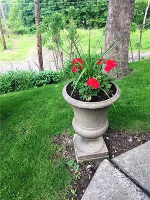 a vase with red flowers in it sitting in the grass at Hillcrest Bed and Breakfast in Jim Thorpe