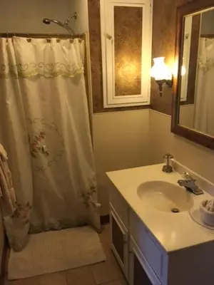 a bathroom with a shower curtain and a sink at Victorian Charm Inn in Towanda