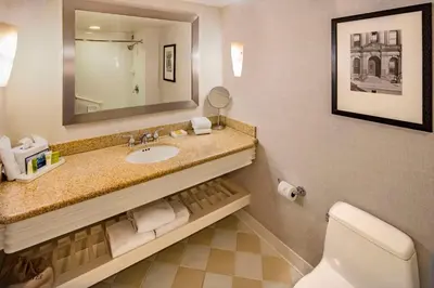 a bathroom with a sink and a mirror and a toilet at Hilton Philadelphia at Penn's Landing in Philadelphia