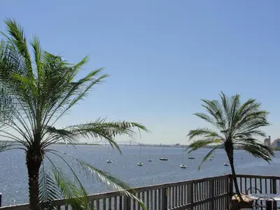 two palm trees and a body of water with boats at Waterfront Inn PHL Airport in Essington
