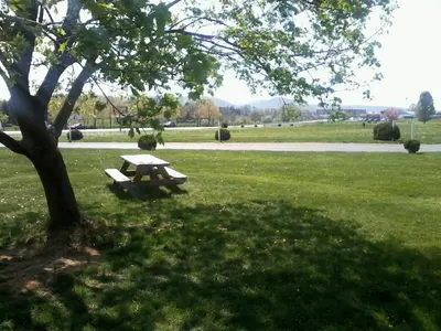 a picnic table under a tree in a park at Blue Note Motor Inn in Marietta