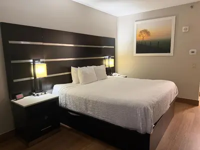 a bedroom with a large bed with a white bedspread at Days Inn by Wyndham Budd Lake in Budd Lake