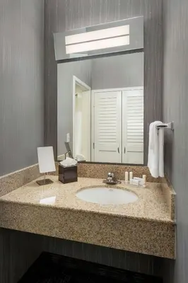 a bathroom with a sink and a large mirror at Courtyard Newark Liberty International Airport in Newark
