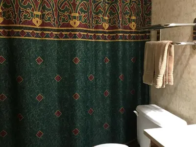 a bathroom with a green shower curtain and a toilet at Homestead Lodging in Smoketown