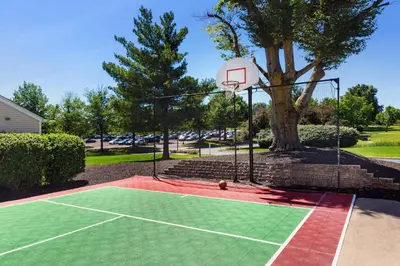 a basketball court with a hoop and a tree at Residence Inn Philadelphia Willow Grove in Horsham