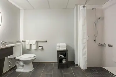 a bathroom with a toilet and a shower at Courtyard Rockaway-Mount Arlington in Mount Arlington