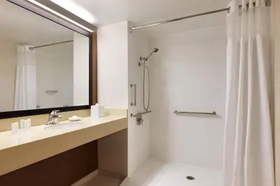 a bathroom with a shower and a sink at Fairfield Inn Philadelphia Valley Forge/King of Prussia in King of Prussia