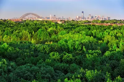 an aerial view of a forest with a city in the background at Hilton Garden Inn New York/Staten Island in Staten Island