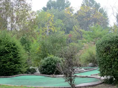 a pool of green water in a garden at Appalachian Camping Resort Cottage 1 in Shartlesville