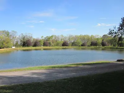 a large body of water with trees in the background at Appalachian Camping Resort Cottage 1 in Shartlesville