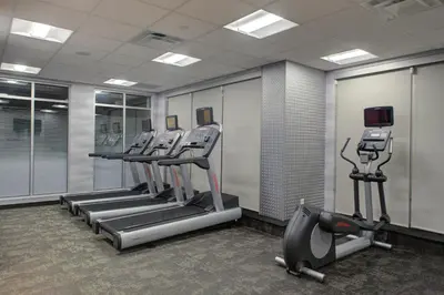 a gym with rows of treadmills and machines at Fairfield Inn & Suites by Marriott Allentown West in Breinigsville