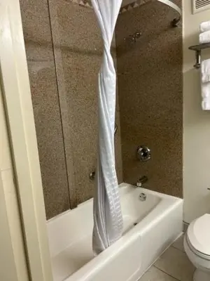 a bathroom with a toilet and a shower curtain at Ramada by Wyndham Newark/Wilmington in Newark