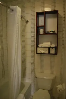 a bathroom with a toilet and a tub and a shower at Washington Square Hotel in New York