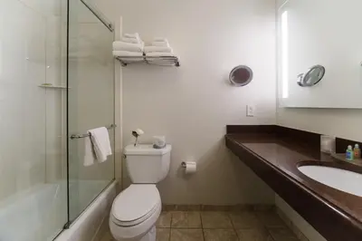 a bathroom with a toilet and a sink and a shower at Chestnut Hill Hotel in Philadelphia