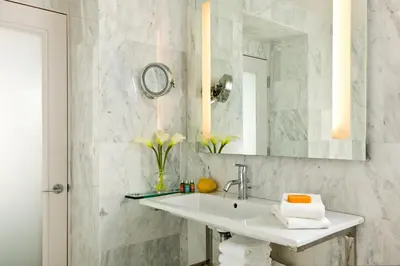 a bathroom with a sink and a mirror at Chestnut Hill Hotel in Philadelphia