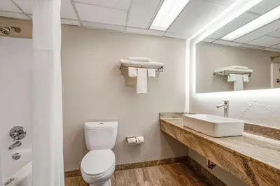 a bathroom with a toilet and a sink at SureStay Plus Hotel by Best Western McGuire AFB Jackson in Cookstown