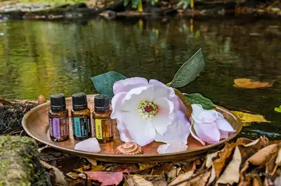 a plate with two bottles of essential oils and a flower at Magnolia Streamside Resort in Canadensis