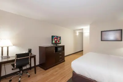 a hotel room with a bed and a desk and a television at Red Roof Inn & Suites Mt Holly - McGuire AFB in Westampton Township