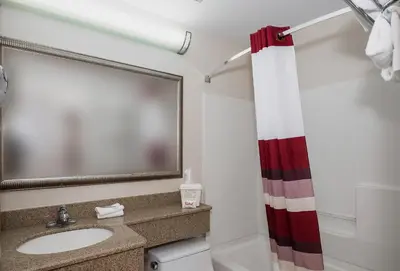 a bathroom with a sink and a mirror at Red Roof Inn & Suites Mt Holly - McGuire AFB in Westampton Township