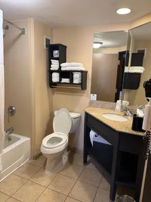 a bathroom with a toilet and a sink and a mirror at Hampton Inn Harrisburg/Grantville/Hershey in Grantville