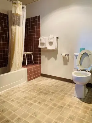 a bathroom with a toilet and a shower and a tub at Olde Amish Inn in Ronks
