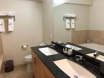 a bathroom with a sink and a toilet and a mirror at Grand Eastonian Hotel & Suites in Easton