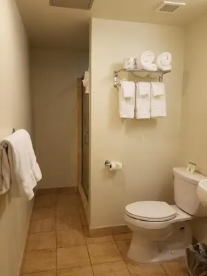 a bathroom with a toilet and towels on the wall at Grand Eastonian Hotel & Suites in Easton