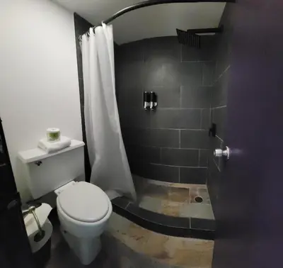 a bathroom with a toilet and a shower at Newburgh Inn in Newburgh