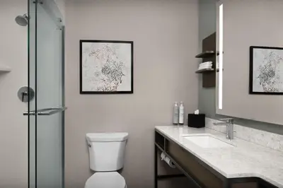 a bathroom with a toilet and a sink at Hilton Garden Inn Philadelphia-Fort Washington in Fort Washington