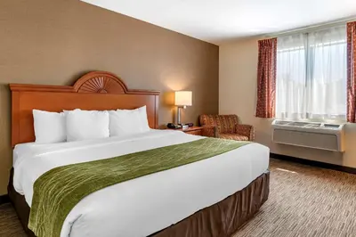 a hotel room with a large bed and a window at Comfort Inn Williamsport in Williamsport