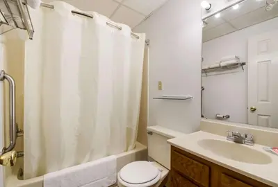 a bathroom with a sink and a toilet and a shower at Econo Lodge Inn & Suites Lake Harmony - Pocono Mountains Area in White Haven