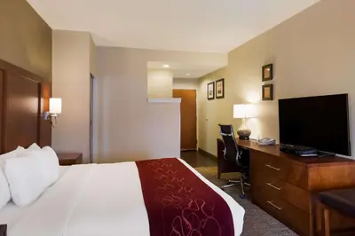 a hotel room with a bed and a desk and a television at Comfort Suites Near University in North Brunswick