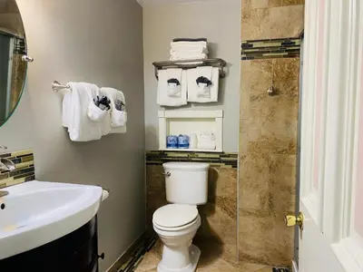 a bathroom with a toilet and a sink and a shower at Greystone Manor Bed & Breakfast in Bird in Hand