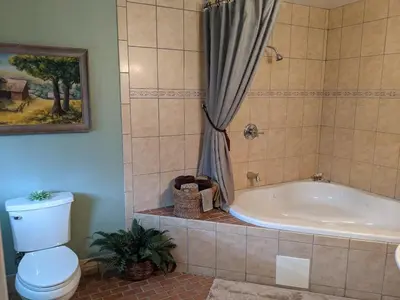 a bathroom with a toilet and a bath tub at Lizard Creek Inn in Andreas