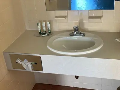 a bathroom counter with a sink and a mirror at White Rose Motel - Hershey in Hershey