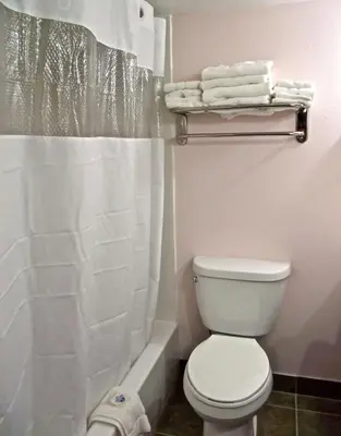 a bathroom with a toilet and a shower curtain at Motel 6 Harrisburg PA Near PA Expo Center in Harrisburg