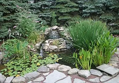 a garden with a pond with a waterfall and plants at Brownstone Colonial Inn in Reinholds