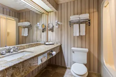 a bathroom with a toilet and a sink and a mirror at Traditions Hotel & Spa Johnson City - Binghamton, an Ascend Collection Hotel in Johnson City