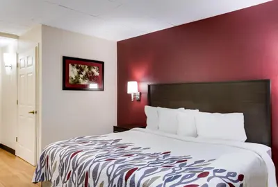 a bedroom with a large bed with a red wall at Red Roof Inn York Downtown in York