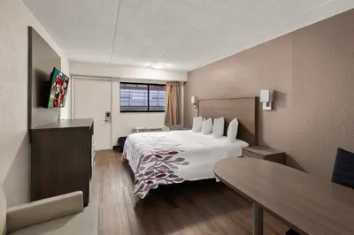 a hotel room with a bed and a desk at Red Roof Inn Binghamton - Johnson City in Binghamton