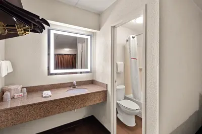 a bathroom with a sink and a toilet and a mirror at Red Roof Inn Binghamton - Johnson City in Binghamton