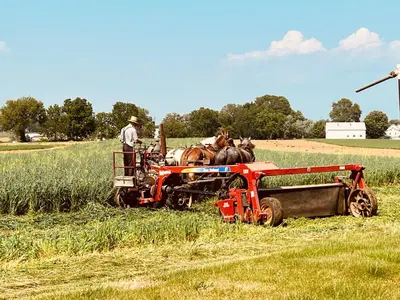 a man riding a tractor with two horses in a field at Scottish Inns Ronks in Ronks