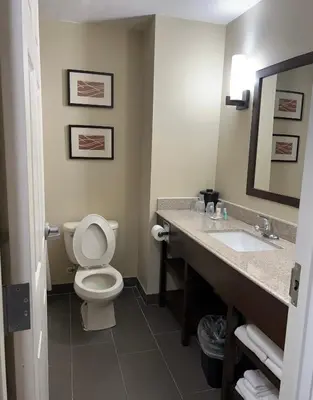 a bathroom with a toilet and a sink at Days Inn & Suites by Wyndham Manheim Lebanon in Manheim
