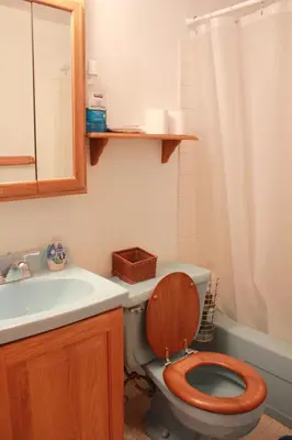 a bathroom with a toilet with a sink and a mirror at Artist in the Barn in Philadelphia
