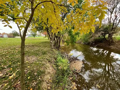 a tree with yellow leaves next to a body of water at Hershey Farm Resort in Ronks