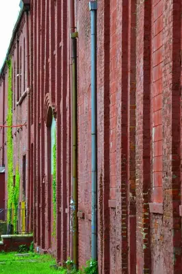 an old red brick building with green moss on it at The Lodge Red Hook in Brooklyn