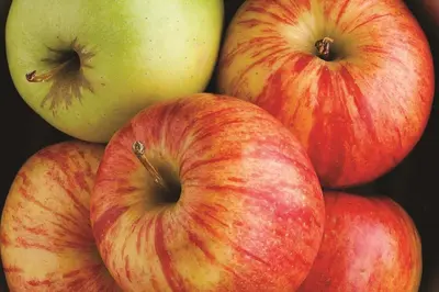 a pile of apples and a green apple at Hampton Inn (not a Hilton Affiliate) Camp Hill - Harrisburg SW in Harrisburg